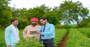 प्राकृतिक गेहूं और हल्दी पर मिलेगा रिकॉर्ड समर्थन मूल्य, किसानों को कराना होगा पंजीकरण